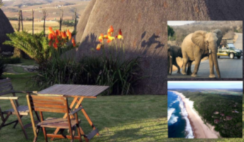 Guided Tours South Africa Mozamique and Swaziland 1 week