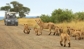 Kruger Safari Tour from Maputo 3 Nights