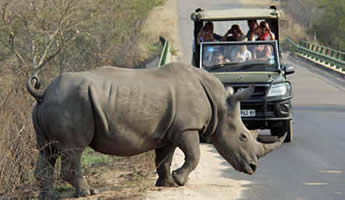 Big 5 Kruger Safari Protea Hotel Kruger Gate