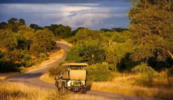 5 Day Tours to Kruger