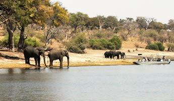 Victoria Falls and Chobe National Park Tour