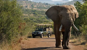 Kruger Safari Tour from Maputo